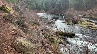 Wild River Heaven – Metolius River – Central Oregon