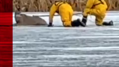 Firefighters in Minnesota, US crawled across a frozen lake to rescue a stuck deer.#Deer #US #BBCNews