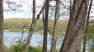 Beauty, Nature and a Lake