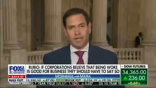 Marco Rubio speaks out on "how to fight the 'woke' corporate elite running America"