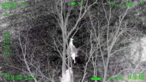 Llama on loose wrangled by police, others in Fairfax County