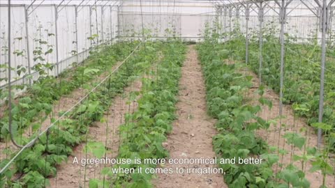 Sustainable Agriculture through Greenhouse Farming