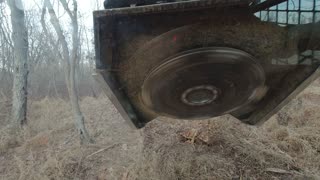 Land clearing with brush cutter part 2