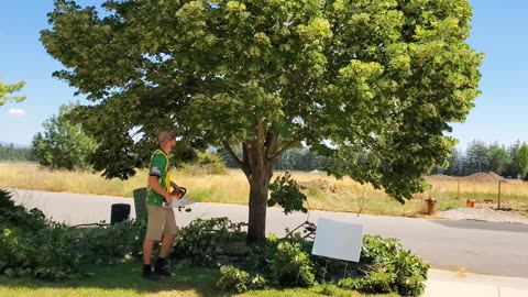 These Overgrown TREES Were Causing MASSIVE Headaches | Let's Fix It!