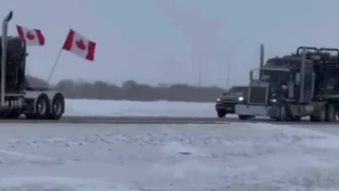 Canadian truckers against Covid mandates BLOCK all lanes of traffic to and from the United States. A sign on one truck reads: "MANDATE FREEDOM"