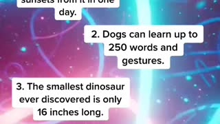 Fun Facts You Probably Didn't Know!!! Part 3