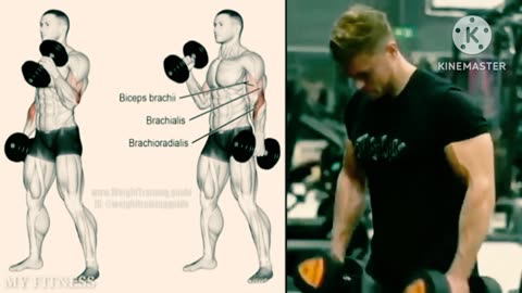 #biceps triceps set stap by stap#