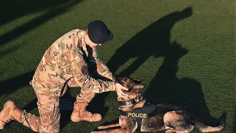 Military Working Dog handler and their K-9s throughout their Air Force careers