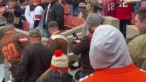 Skunk in the stands at the Browns-Buccaneers game
