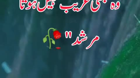 Jo Maa Bap Ki Qadar Karta Hai | جو ماں باپ کی قدر کرتا ہے | Faizan Digital