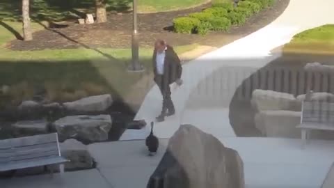 Man Attacked By Goose (almost dies)_Cut