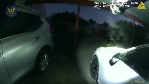 Bodycam footage shows moments before Phoenix police shoot sexual assault suspect