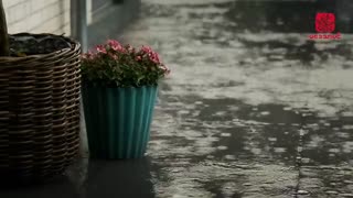 Relaxing Music With Rain Sounds