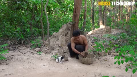 Dog House - Build House for Puppies