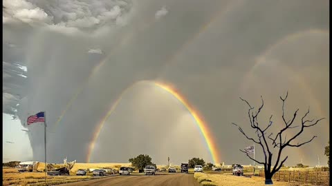 There comes that rainbow again.