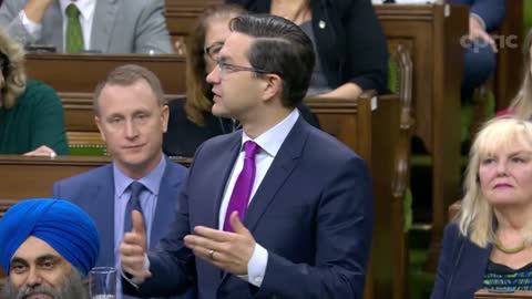 Pierre Poilievre: "Why is [Trudeau] more concerned with protecting wild turkeys from hunters than he is concerned about protecting Canadians from criminals?"