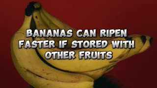 Banana Fun Facts