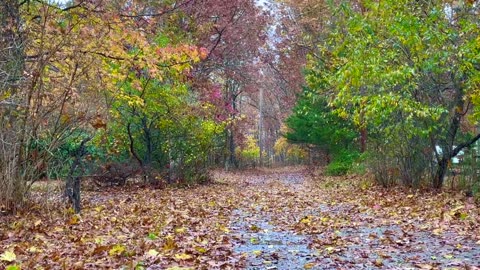 Beautiful Fall ambiance