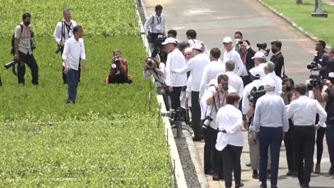 Leaders plant mangroves on final day of G20