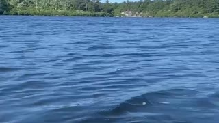 DIP IN THE LAKE