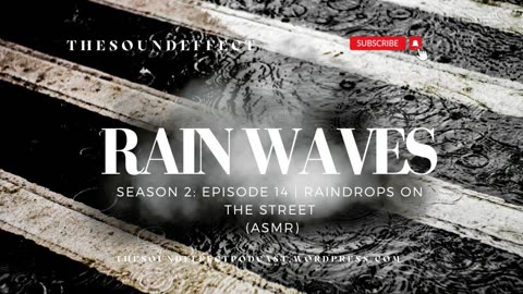 Rain Waves | Season 2: Episode 14 | Raindrops on the Street (ASMR) #asmrsounds #rainsounds