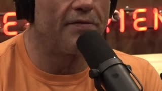 Joe Rogan Talks About The World