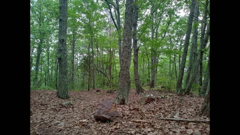 Nanny's Mountain State Park Meditation