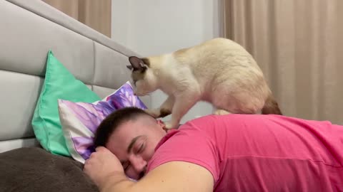 Cat Massage Therapy for Daddy