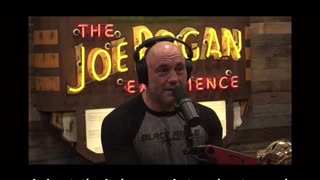 "100 Different Types of Parasitic Wasps" | Joe Rogan | Forrest Galante