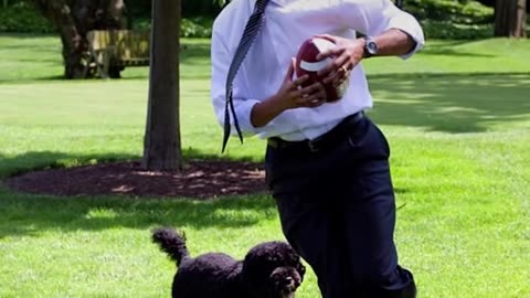 Bo, Sunny Obama Say Goodbye To The White House