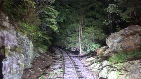 Night Train Through The Mountains And Woods