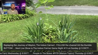 Mcabee's Live Market: Presented by Waylon, The Indoor Farmer. Veteran Popularizing Sustainability