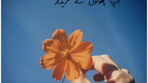 Aap phoolon k khareedar Nazar aatay hain by Ustad Nusrat Fateh Ali Khan