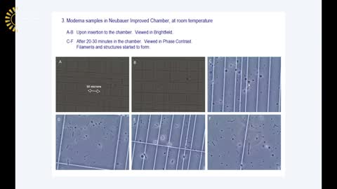 ICIC Covid Vaccines - Nanotech self assembling structures within them