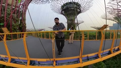 Ducky bhai in Singapore | Payara Garden Ha😍