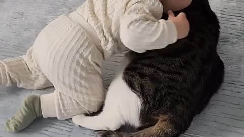 Cat fun with baby