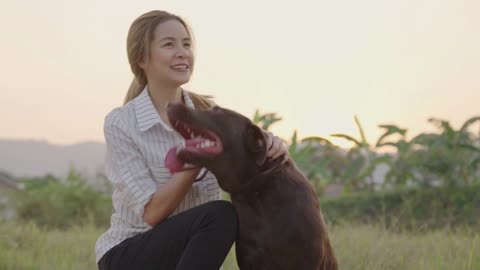 Young female sit down playing her friendly dark brown Labrador retrieve, pet care