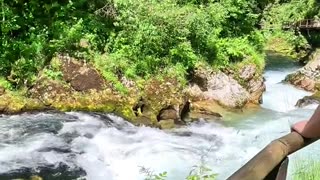 Vintgar Gorge Beauty!