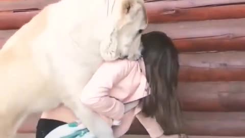 This Big Dog Loves Cute Girl So much