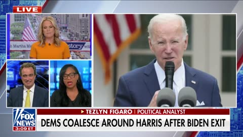 Analyst torches Dems for lying about Biden's 'selfless patriotism': 'We're not idiots'