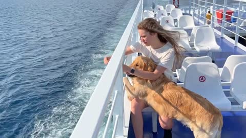 Taking My Golden Retriever on a Boat Trip For The First Time