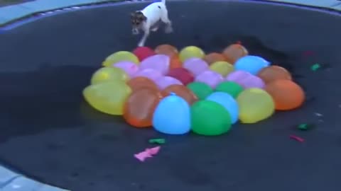 spaz attacks water balloons