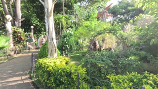 Nicaragua Nindiri Dinosaur Park & Fair Park Nagarote | Fun Day with the Kids | Parque Saurio Masaya