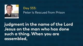 Day 333: Peter Is Rescued from Prison — The Bible in a Year (with Fr. Mike Schmitz)