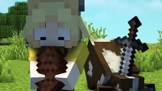 Minecraft compilation