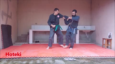 Jin ryaku no mkai parte 2 - Treinando para faixa preta de ninjutsu