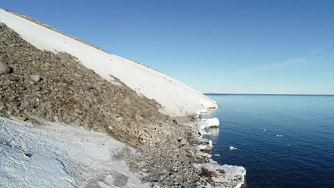 Adélie Penguin Colony 🇦🇶 Terra Nova Bay