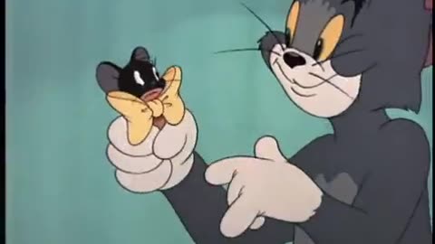 Tom và Jerry - Con mèo lăng nhăng(Casanova Cat, Viet sub)