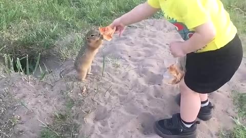 Cute Squirrel Gratefully Takes Toddler's Pizza