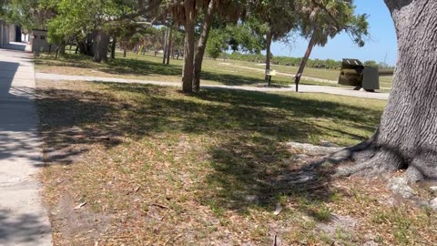 Walking around at the old fort at Fort De Soto May 29 2024